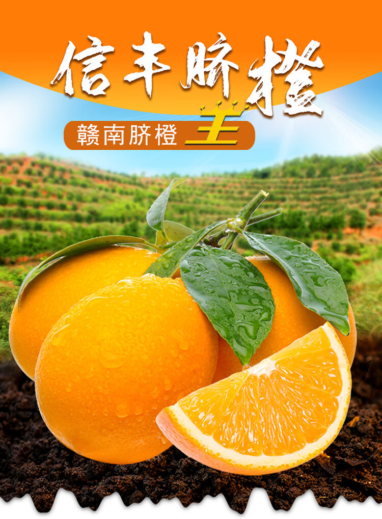 9ab16d95e4d7cb787a74907ecebbf443_5013365e1ab58e5a.jpg